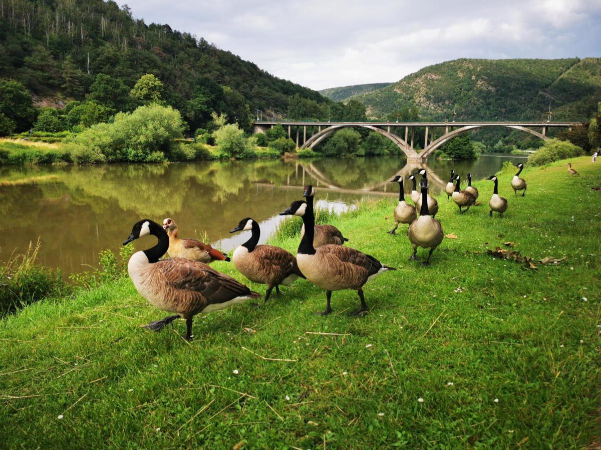 La Bayenne Villa Revin  Dış mekan fotoğraf