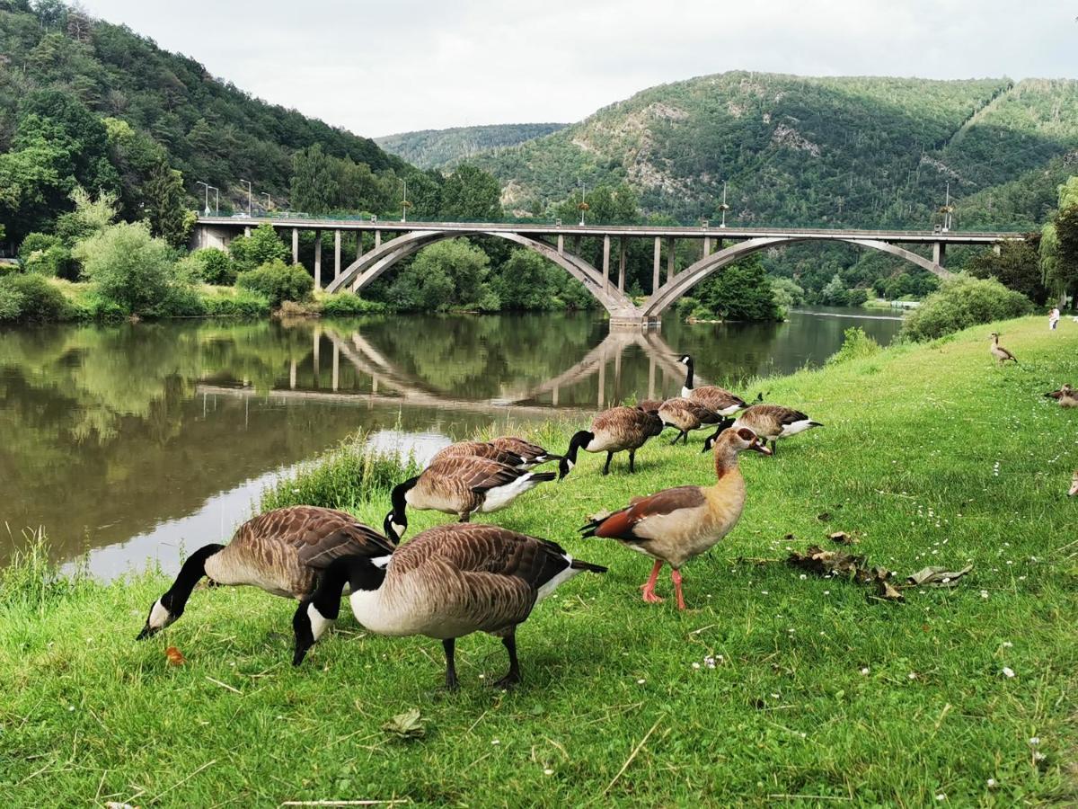 La Bayenne Villa Revin  Dış mekan fotoğraf